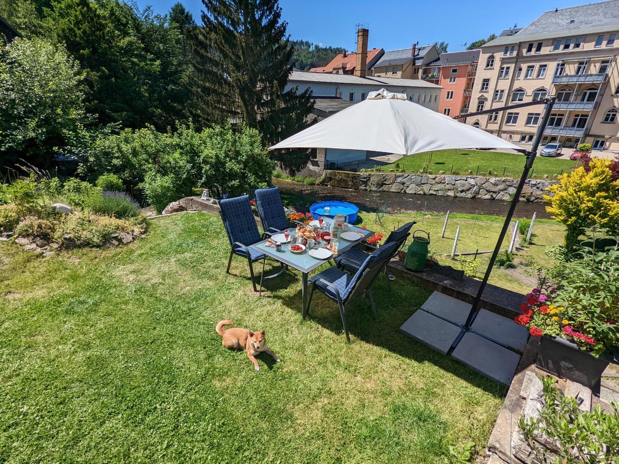 Hw4B - Urlaubsmagie - Zentral Mit Gemeinschaftsgarten, -Pool, -Sauna & Whirlpool Sebnitz Extérieur photo