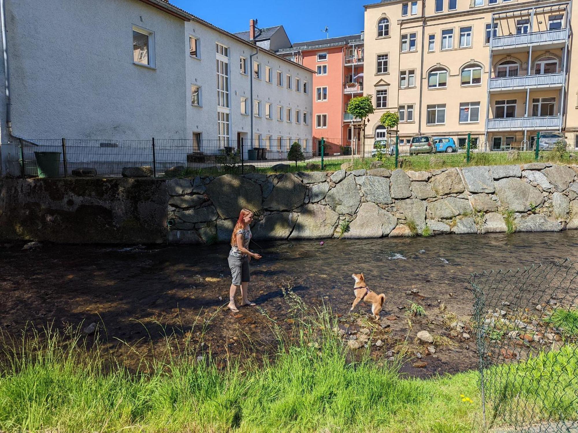 Hw4B - Urlaubsmagie - Zentral Mit Gemeinschaftsgarten, -Pool, -Sauna & Whirlpool Sebnitz Extérieur photo