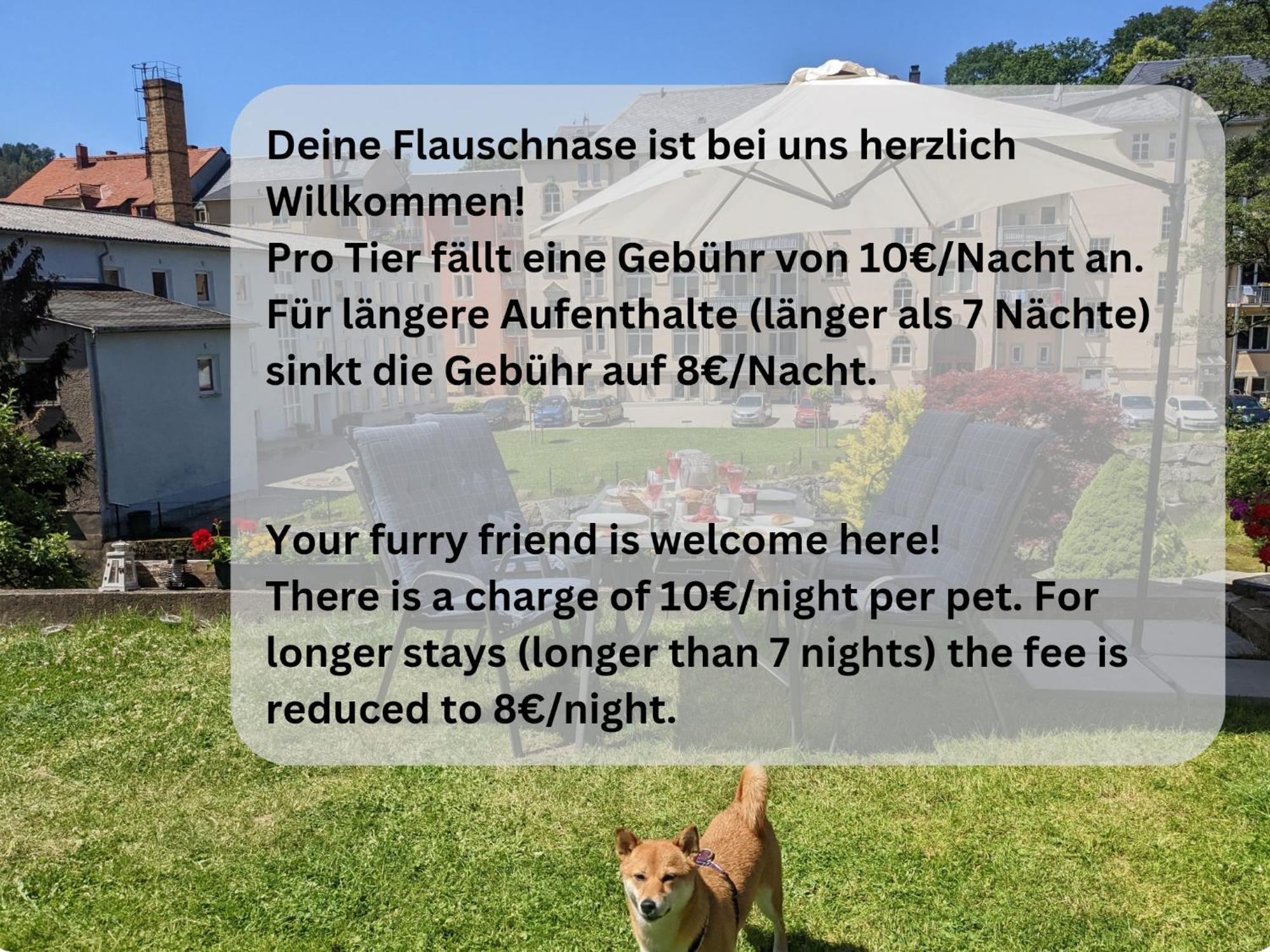 Hw4B - Urlaubsmagie - Zentral Mit Gemeinschaftsgarten, -Pool, -Sauna & Whirlpool Sebnitz Extérieur photo